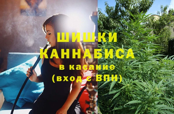 СК Аркадак