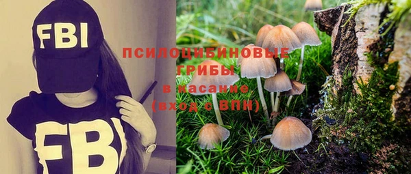 СК Аркадак