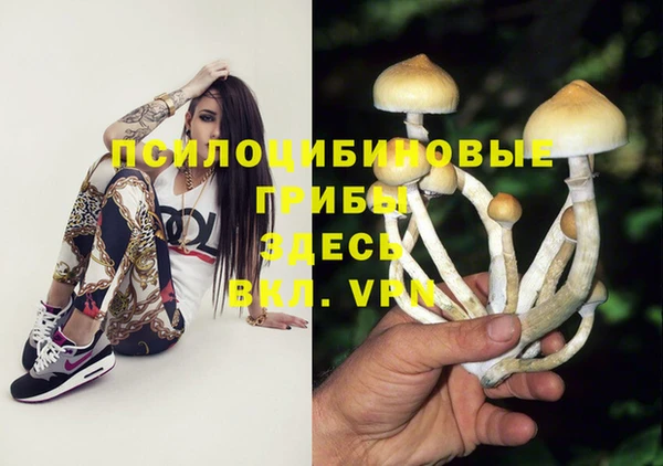 прущий лед Арсеньев