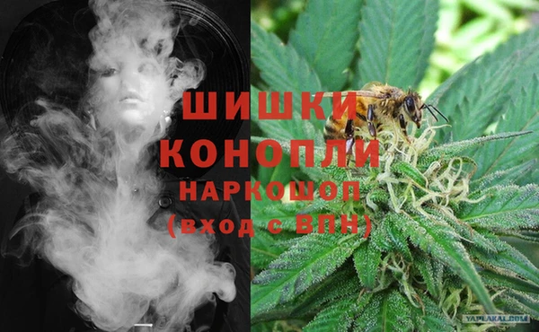 СК Аркадак